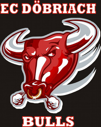 Bulls Logo